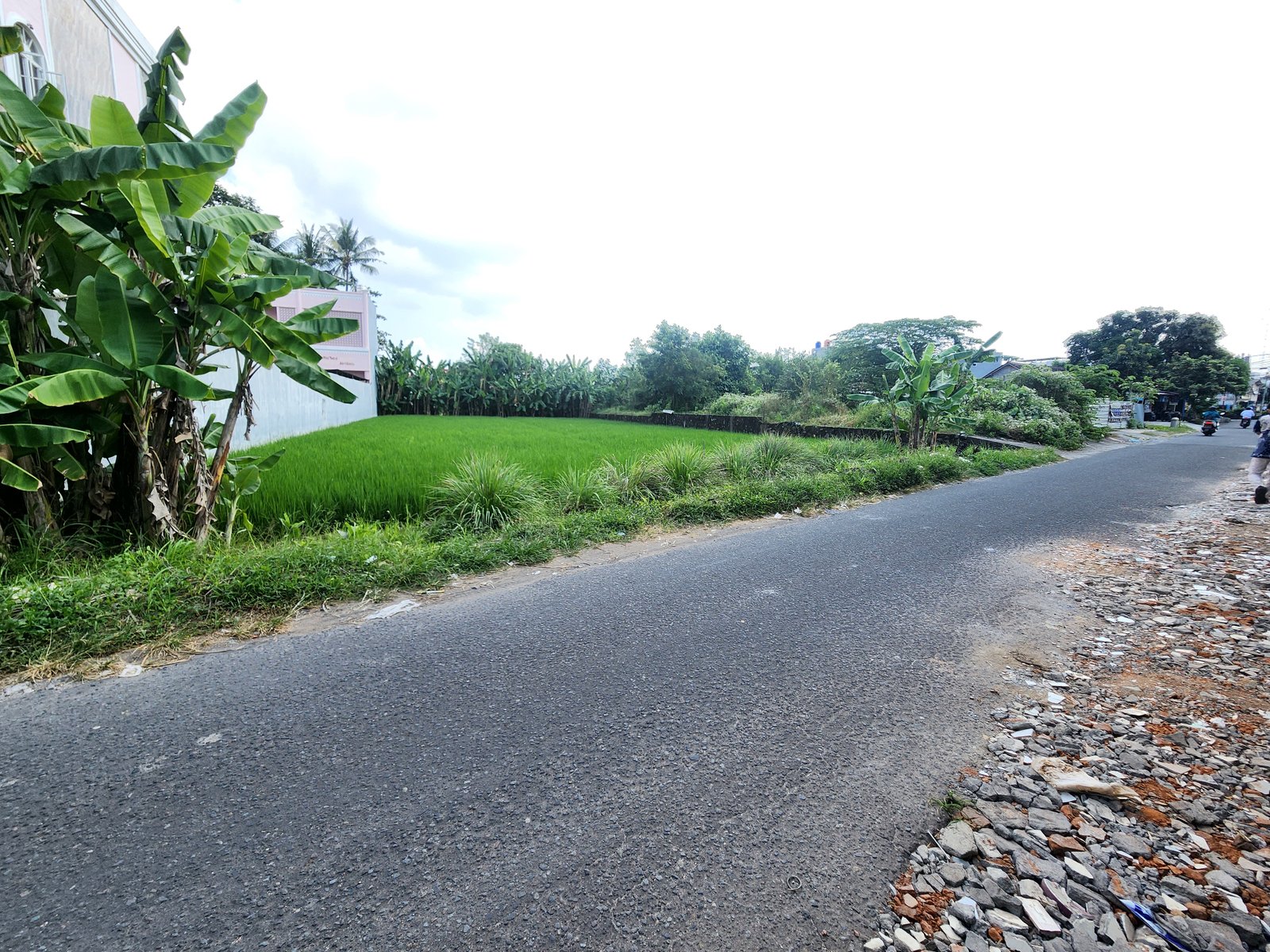 Tanah Jogja Maguwoharjo Sleman 2 Menit Ke Jogja Bay - Image 7