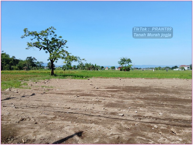 Tanah murah SLeman dekat Sekolah Budi Mulia tajem, 3 jtan - Image 3