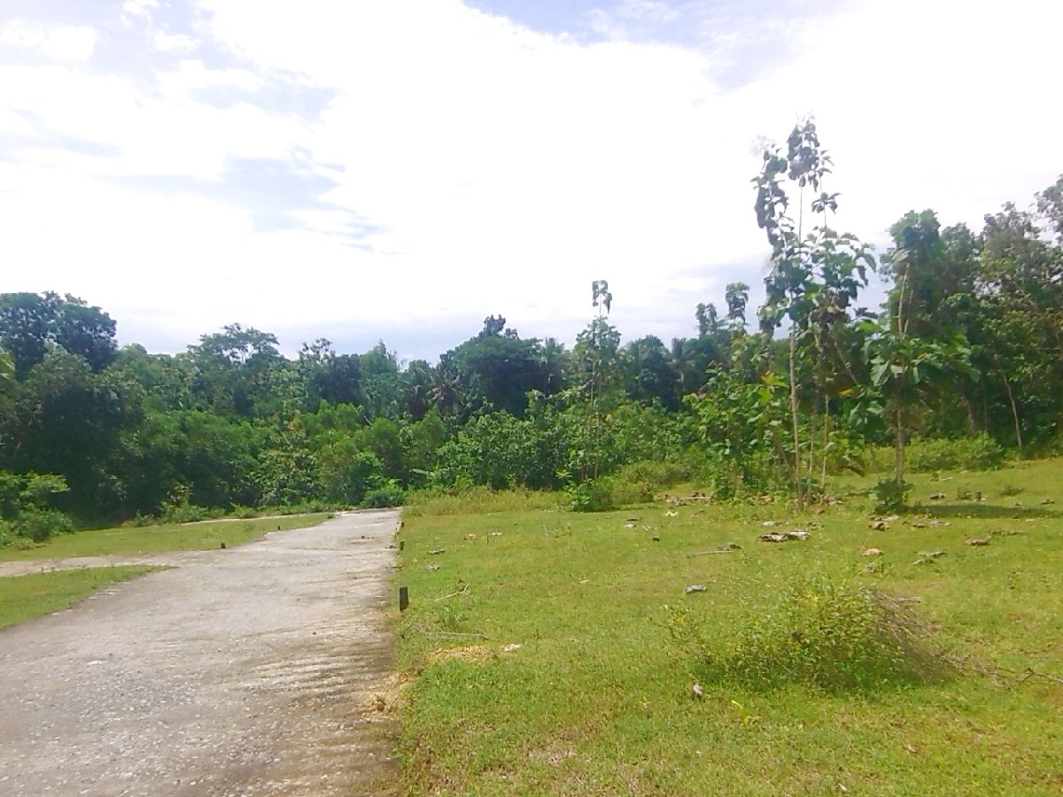 Dekat SMK N 1 Panjatan Rumah Strategis Jogja SHM Pekarangan - Image 5