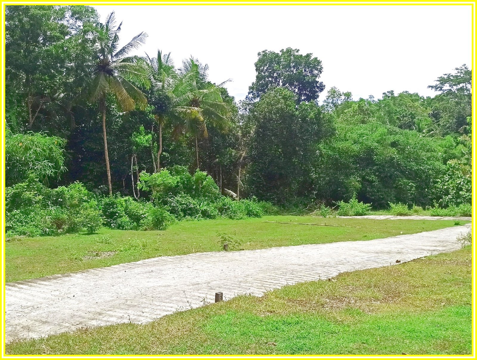 Dekat Alun Alun Wates, Rumah dijual Jogja Barat Lengkap SHM-IMB - Image 4