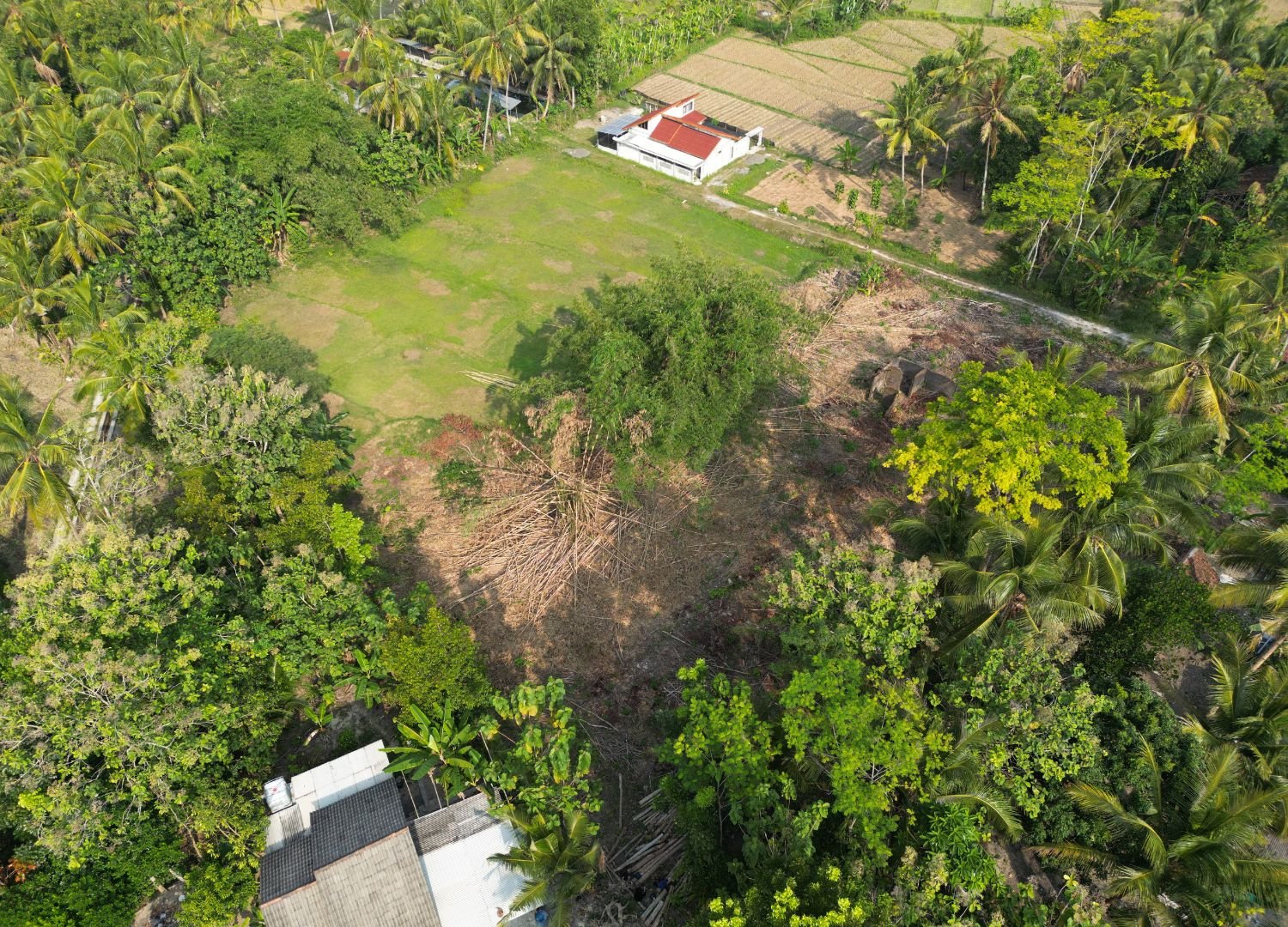 4KM Stasiun Sentolo, Dijual Tanah Nanggulan Jogja - Image 3