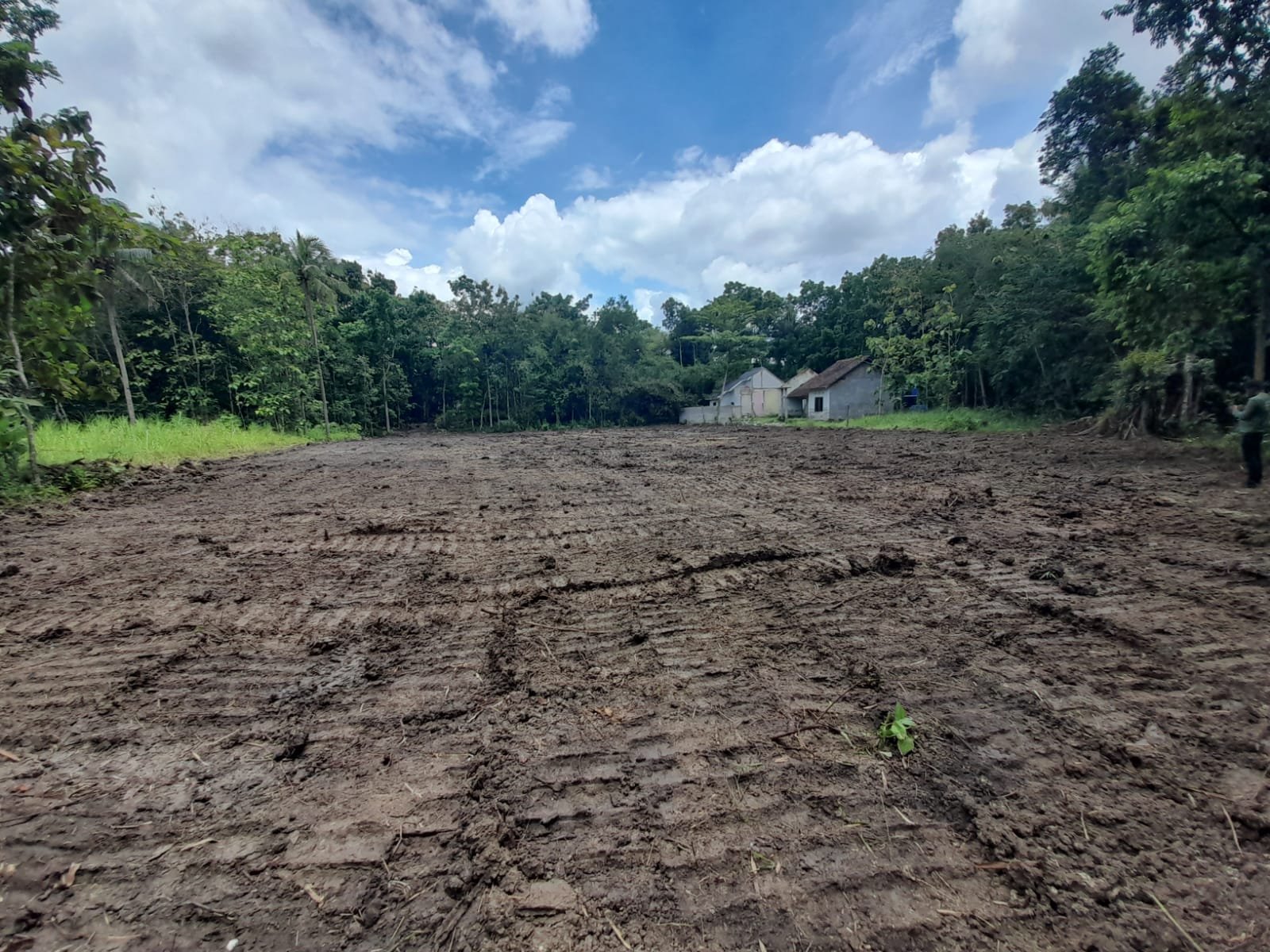 Belakang Kampus UMY Tanah Murah ; Legalitas SHM - Image 5