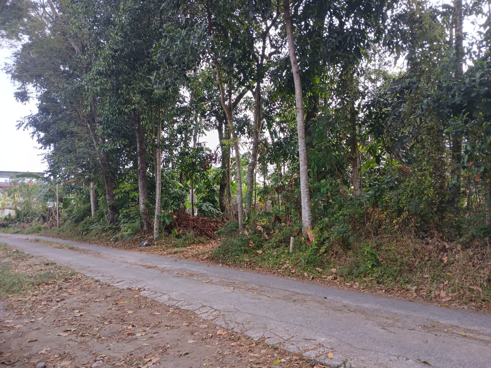 Jual Kost Premium Jogja – 16 Kamar, Lokasi Strategis Dekat UII Kaliurang - Image 8