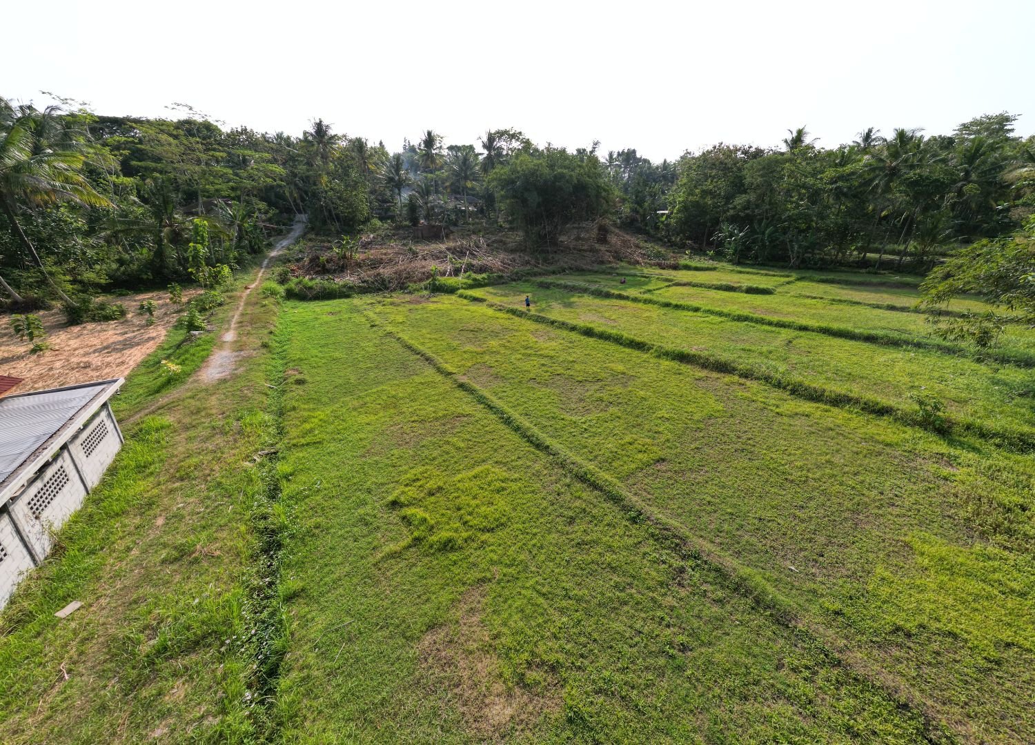 Dijual Tanah Nanggulan, SHM Pekarangan - Image 6
