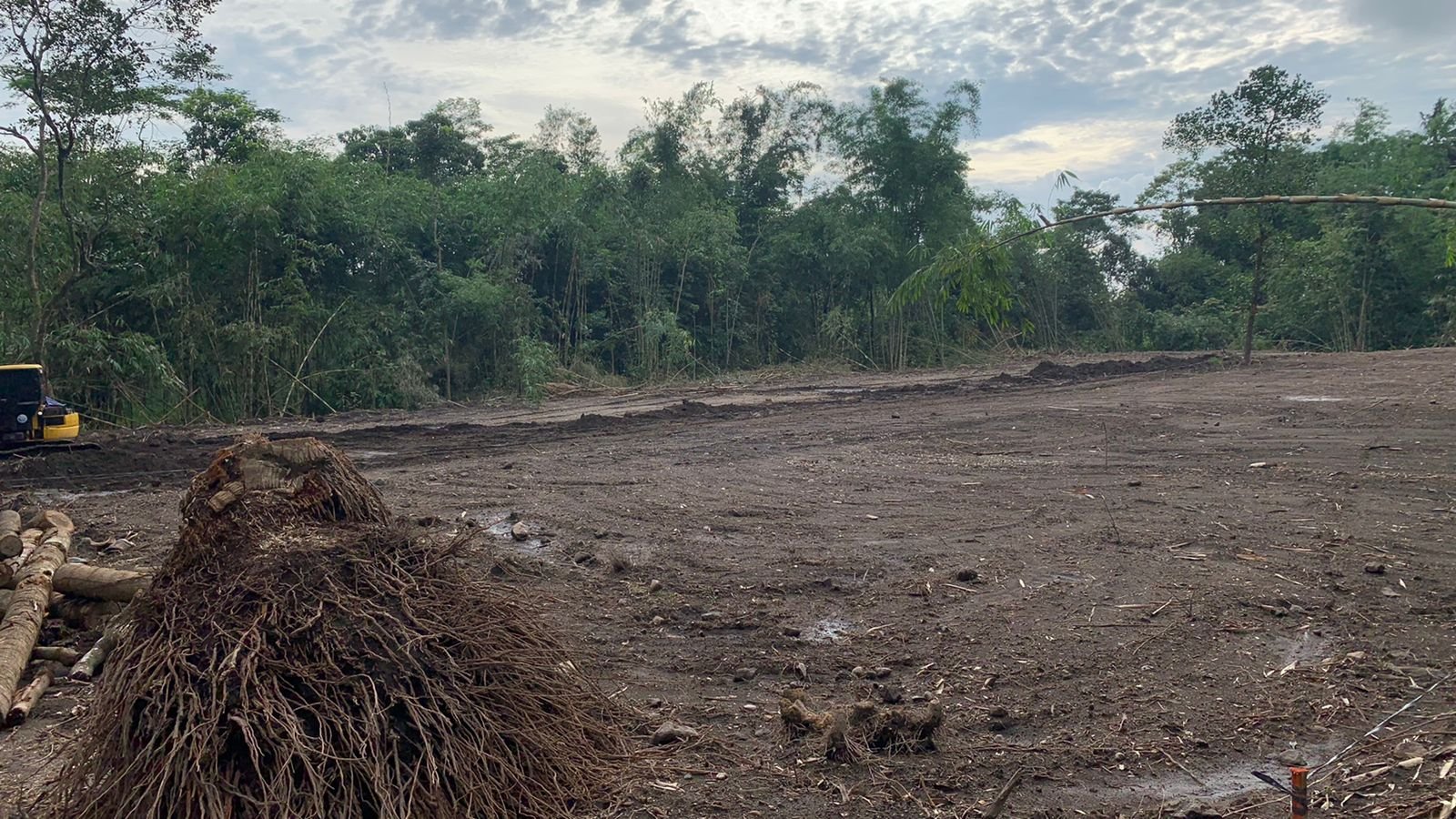 Hanya 1,3jt/m Kapling Murah Jogja Barat, Sumberarum Moyudan - Image 2