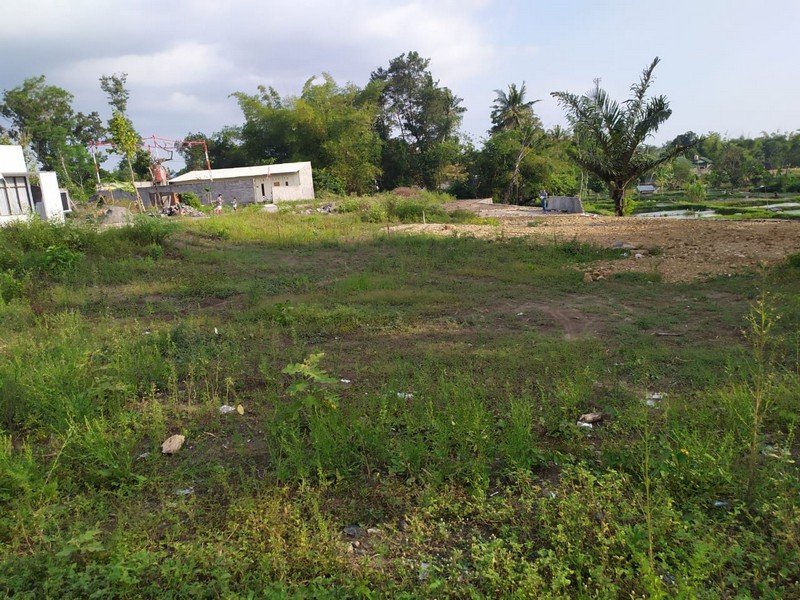 Tanah Siap AJB di Mlati Sleman - Property details and images