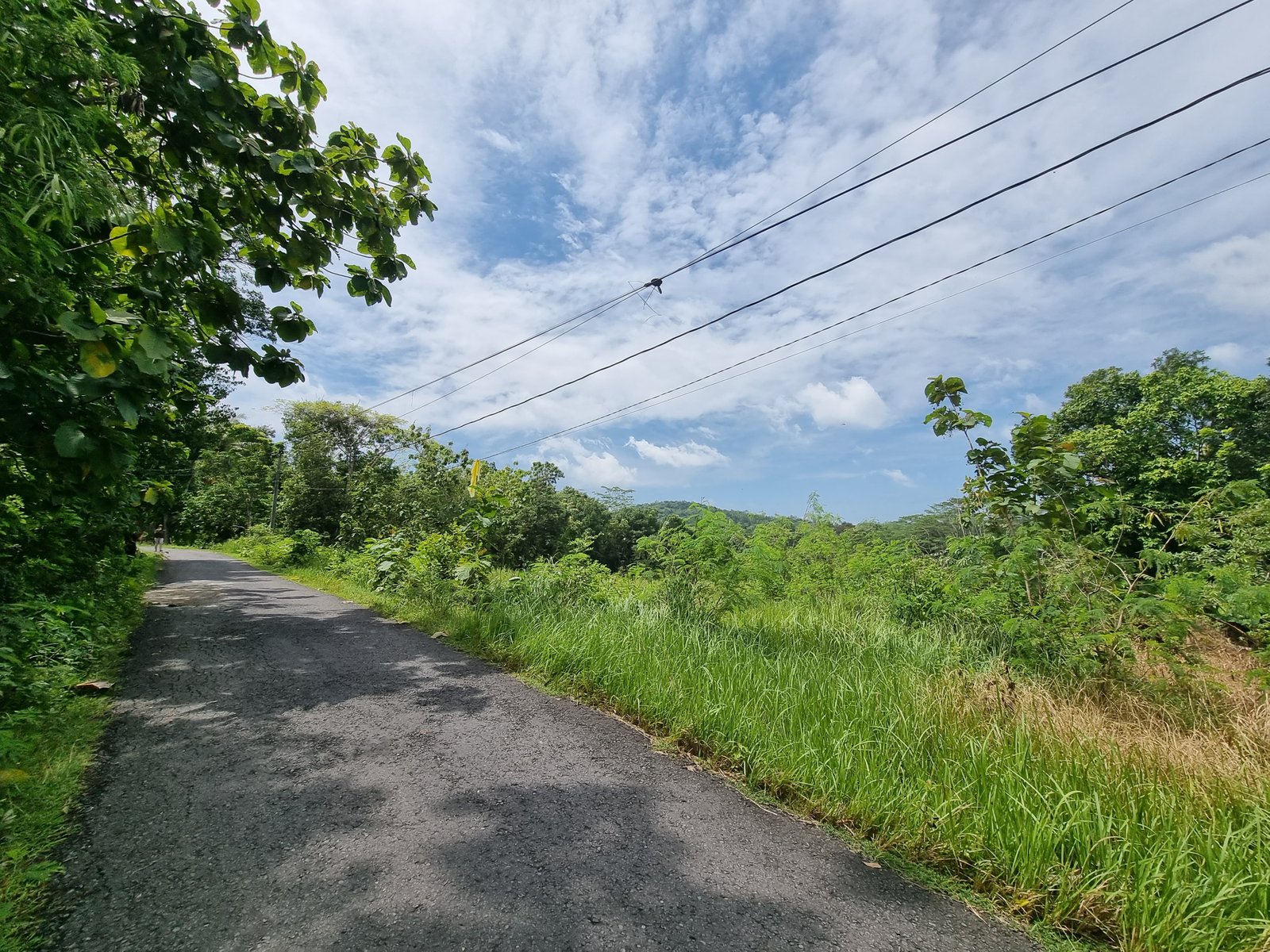 Tanah Murah Selatan UMY, SHM Pekarangan 1,2 Jt/m² - Image 2