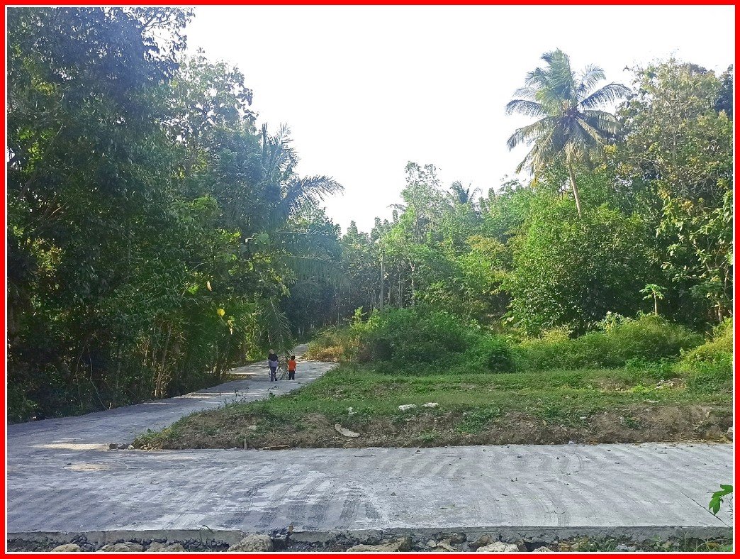 Dekat Bandara YIA Jogja, Rumah Murah Jogja dijual - Image 4