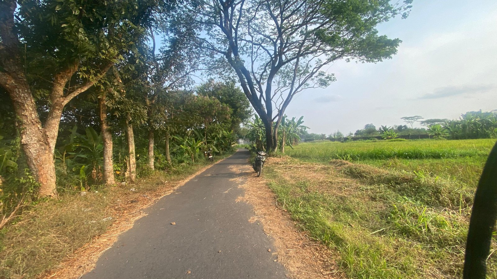 Dekat Pasar Rejondani Palagan Kavling Premium Strategis - Image 5