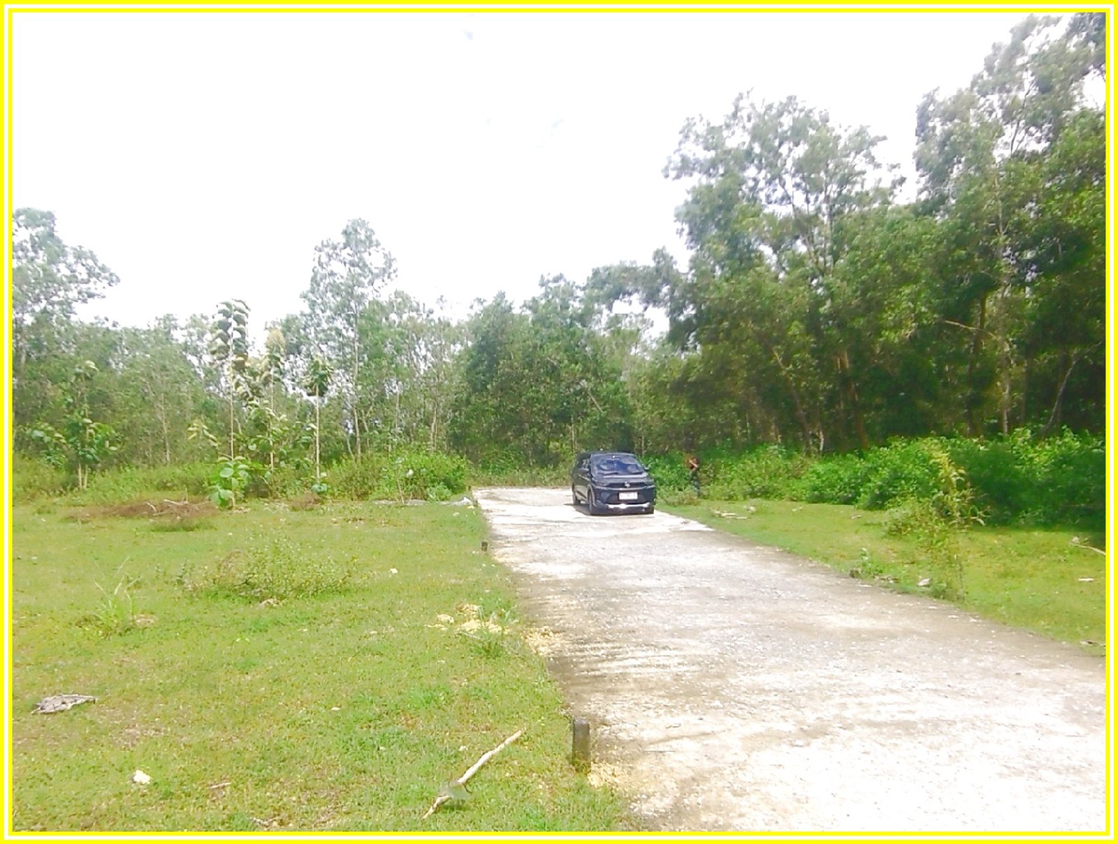 Dekat Kampus UAD Cab. Wates, Rumah Jogja dijual - Image 4