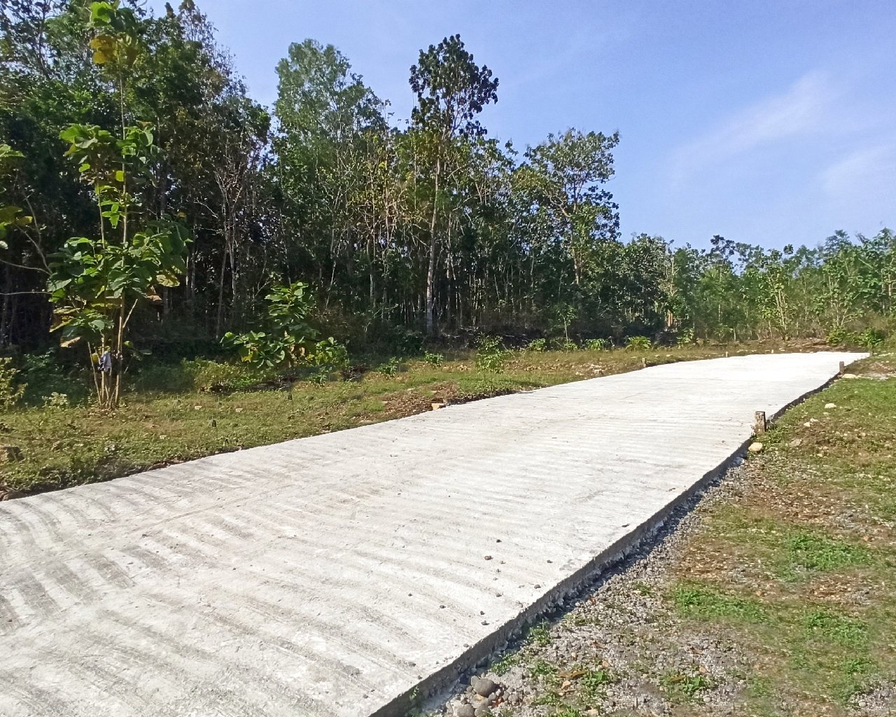 Dekat Bandara YIA Jogja, Jual Tanah Murah Jogja, Gotakan Panjatan - Property thumbnail