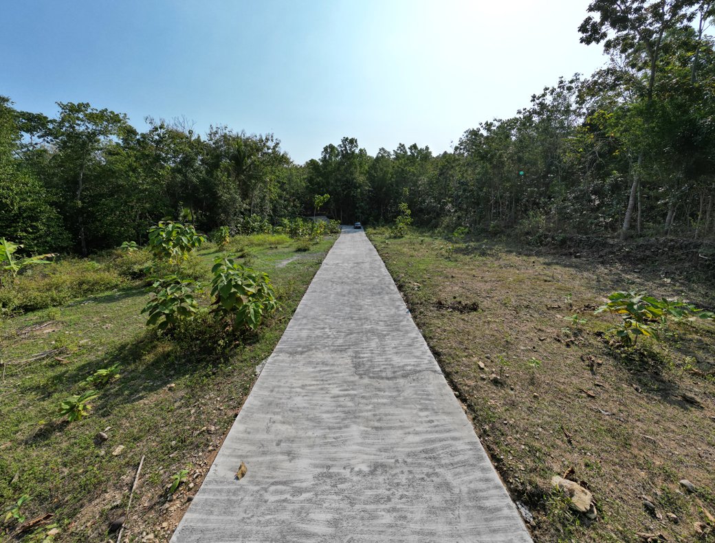Tanah Murah Dekat SMP Negeri Gotakan Panjatan Kulon Progo - Image 2