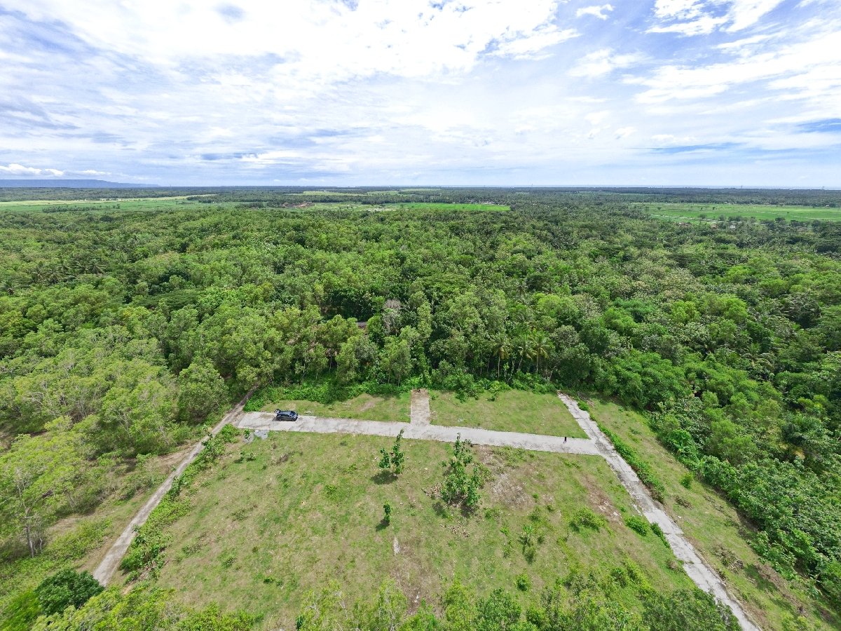 Di Jual Tanah Jogja Kulonprogo Giripeni View Dekat SMK N 1 Panjatan SHM Pekarangan - Image 5