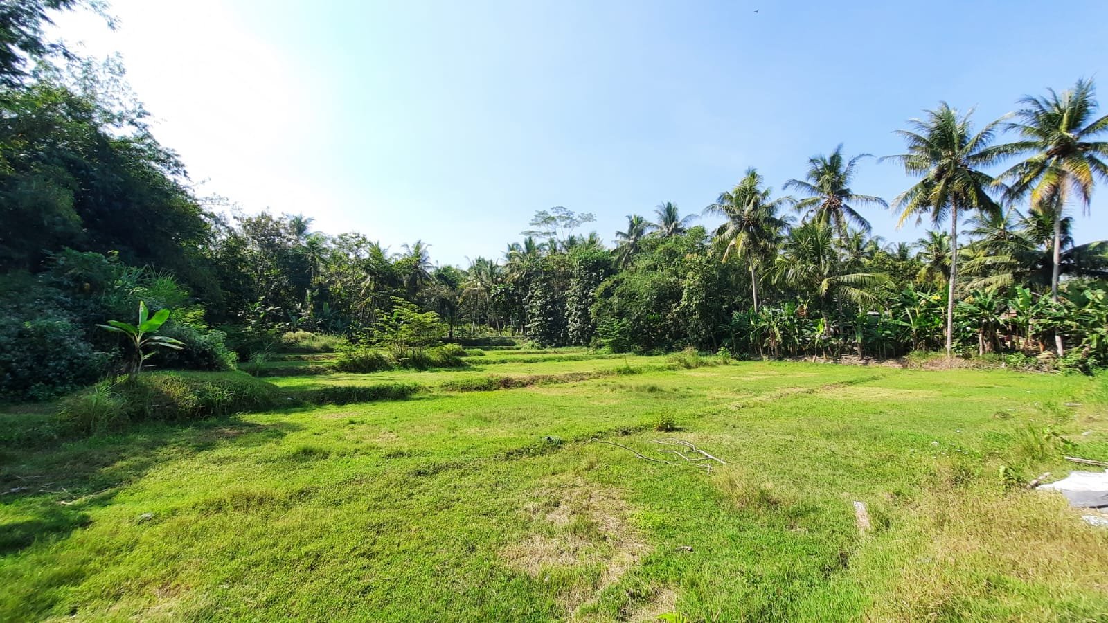 3KM Exit Tol Sentolo, Dijual Tanah Nanggulan Jogja - Property thumbnail