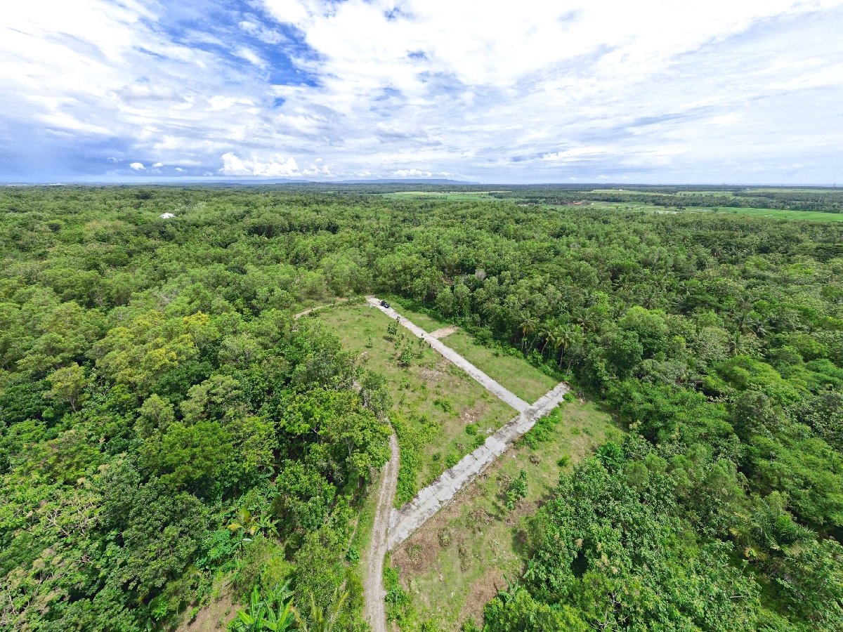 Dekat Polres Kulon Progo Rumah Strategis Jogja Gotakan Panjatan - Image 4