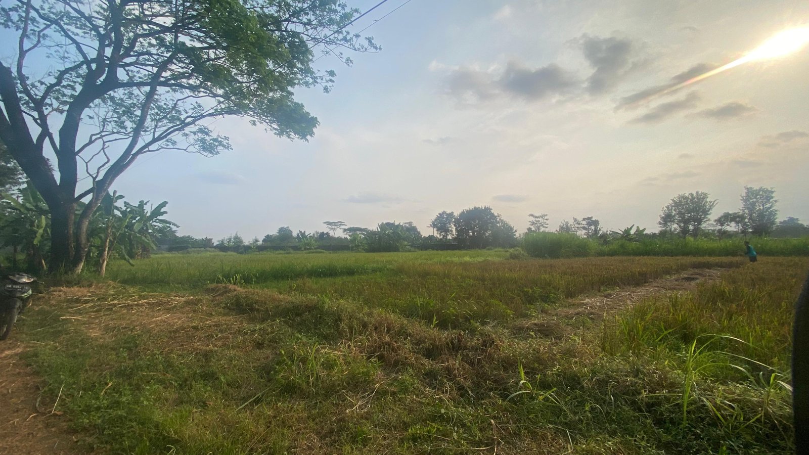 Dekat Pasar Rejondani Palagan Kavling Premium Strategis - Image 3