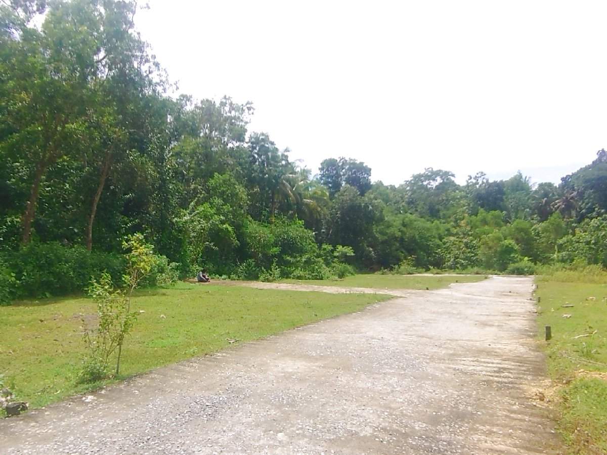 Di Jual Tanah Jogja Kulonprogo Giripeni View Dekat SMK N 1 Panjatan SHM Pekarangan - Property thumbnail