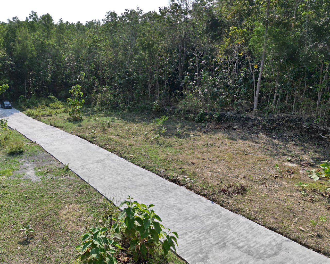 Dekat Polres Kulon Progo Tanah Murah - Property listing thumbnail