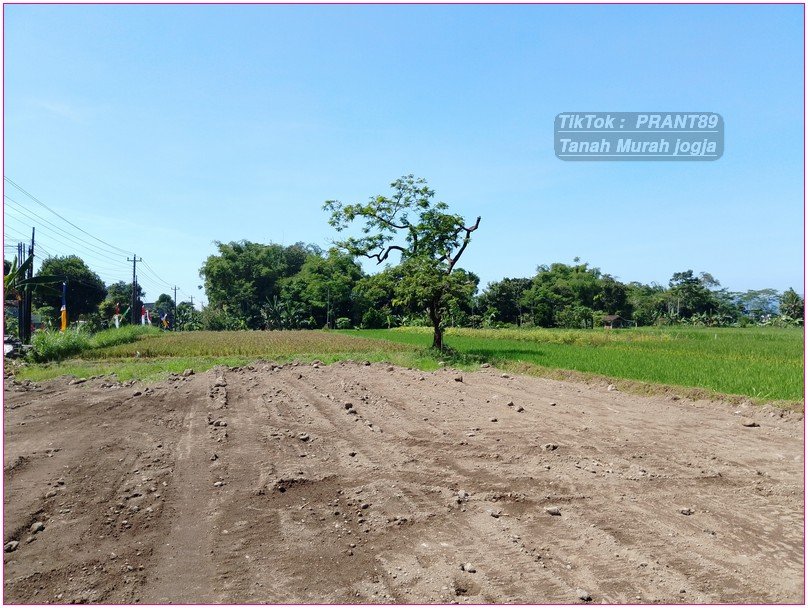 Maguwoharjo dekat kampus UNRIYO tajem tanah 3 jtan tepi aspal - Property thumbnail