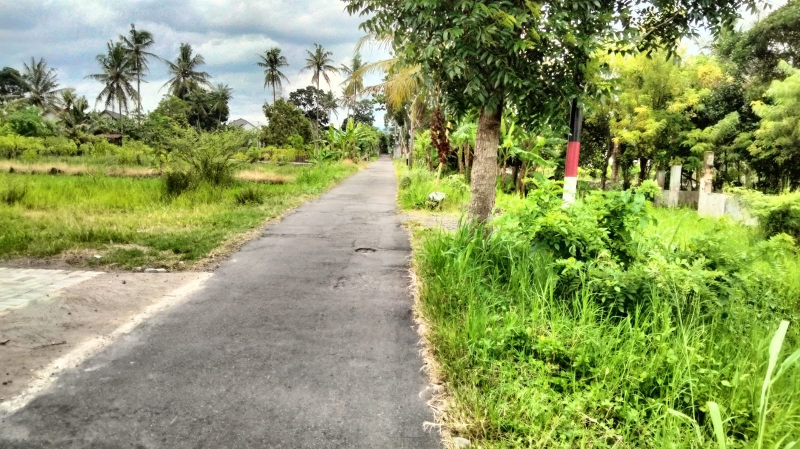 Tanah SHM di Ngaglik Sleman, view Merapi, dekat Kampus UII, cocok untuk Rumah Villa - Image 6