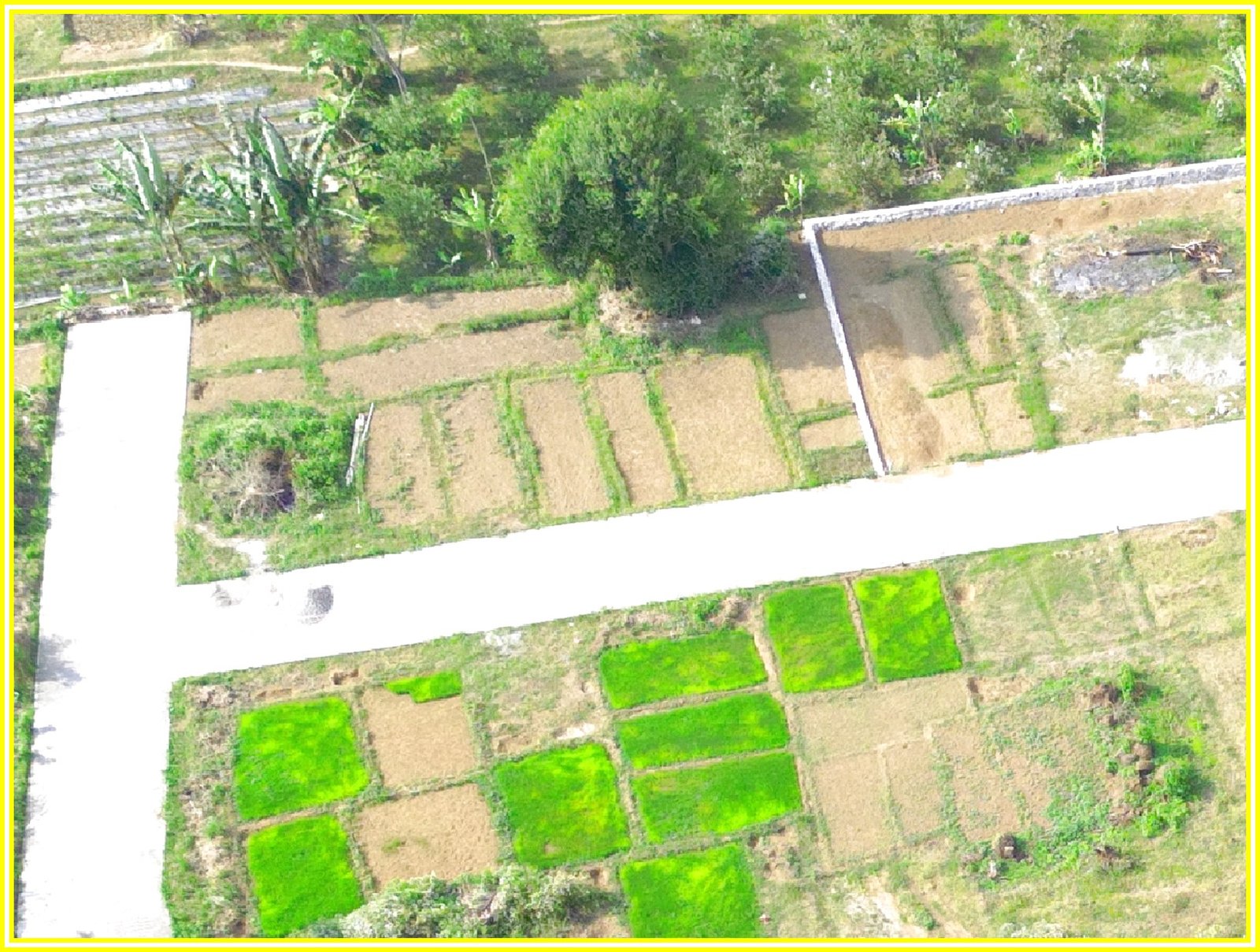 Rumah Murah Purworejo 10 menit Bandara YIA Jogja - Image 5