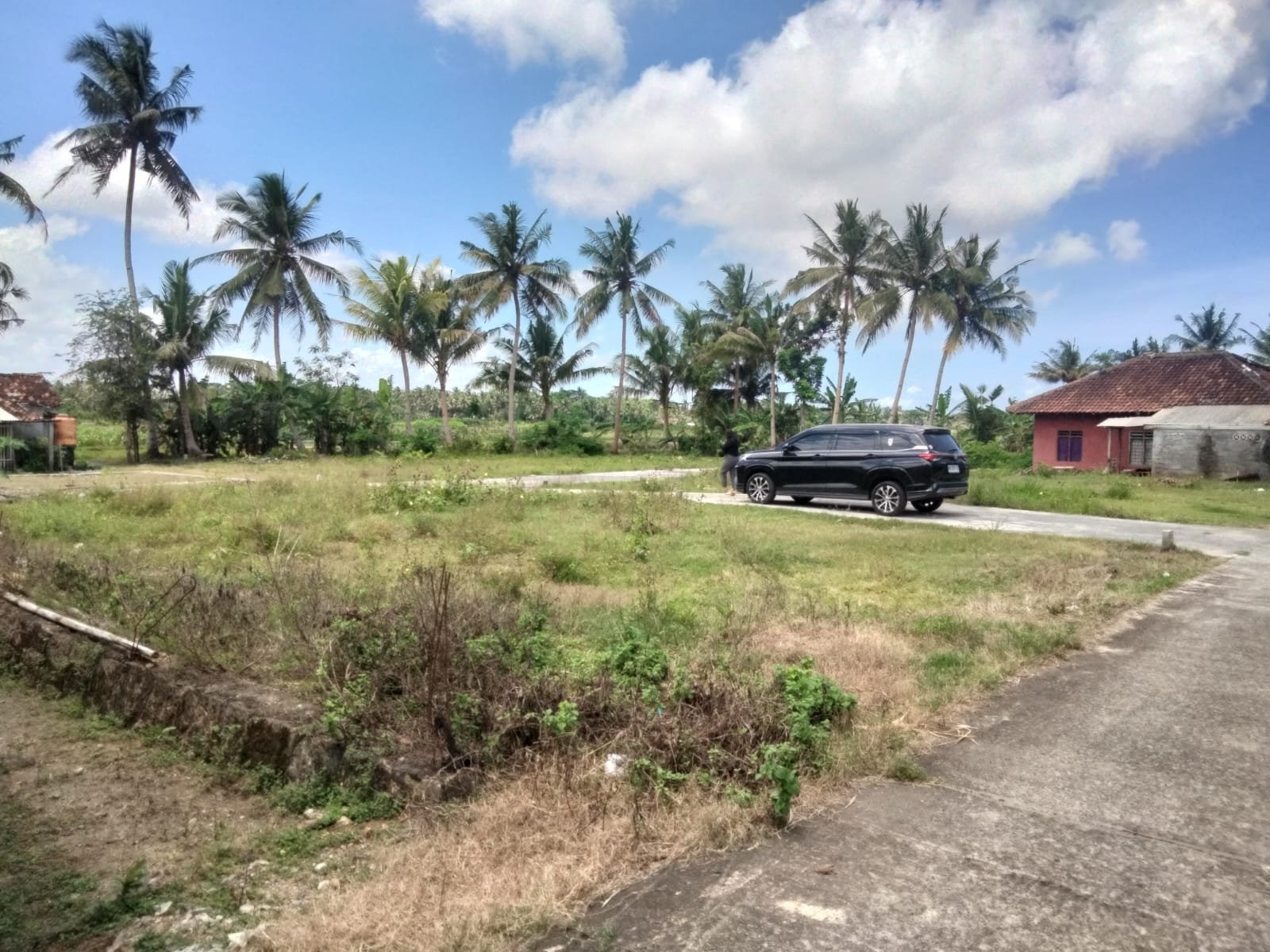 Tanah Jogja Tawangsari Pengasih Cocok Untuk Rumah Dekat UNY Wates - Image 7