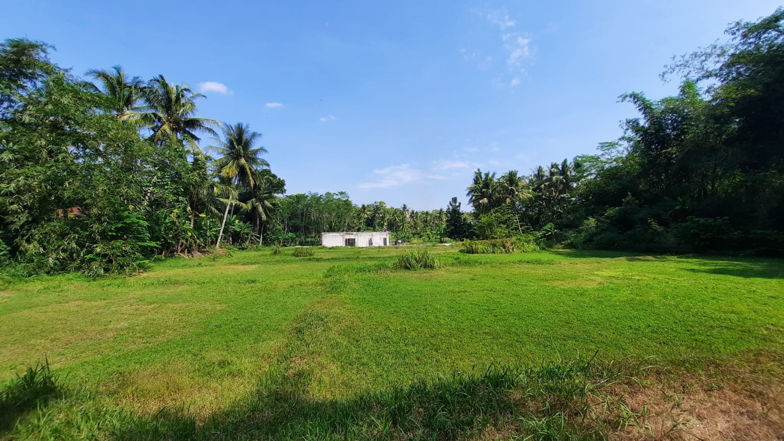 2KM RSUD Nyi Ageng Serang Nanggulan, Dijual Tanah Kulonprogo - Property thumbnail