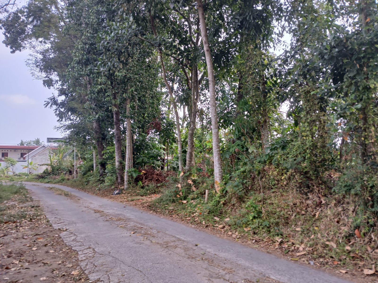 Kost Eksklusif Dijual di Jogja – Dekat Kampus UII, Jalan Kaliurang Km 14 - Image 8