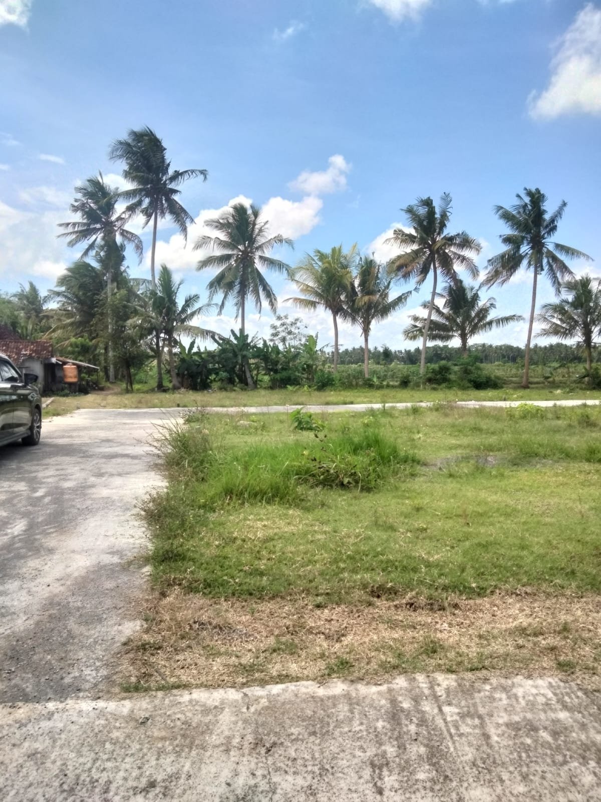 Tanah Jogja Tawangsari Pengasih Cocok Untuk Rumah Dekat UNY Wates - Image 12