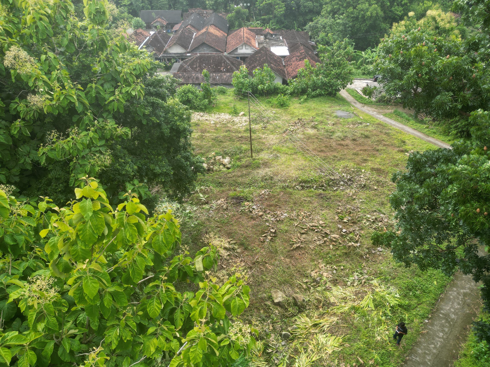 Hanya 15 Menit Dari Candi Prambanan-Tanah Pereng Jogja - Property thumbnail