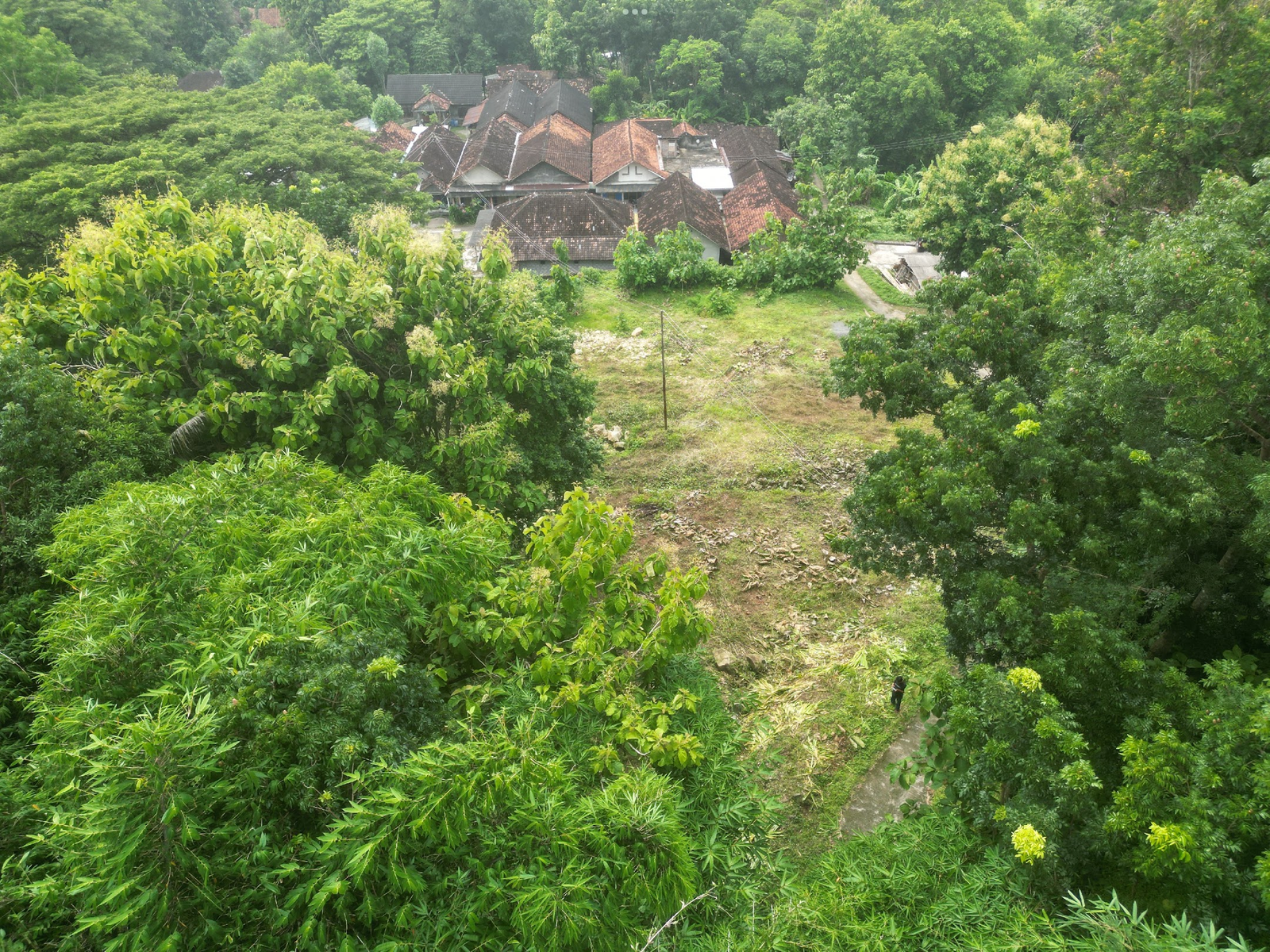 Tanah Pereng Prambanan - SHM Pekarangan Siap AJB - Property thumbnail