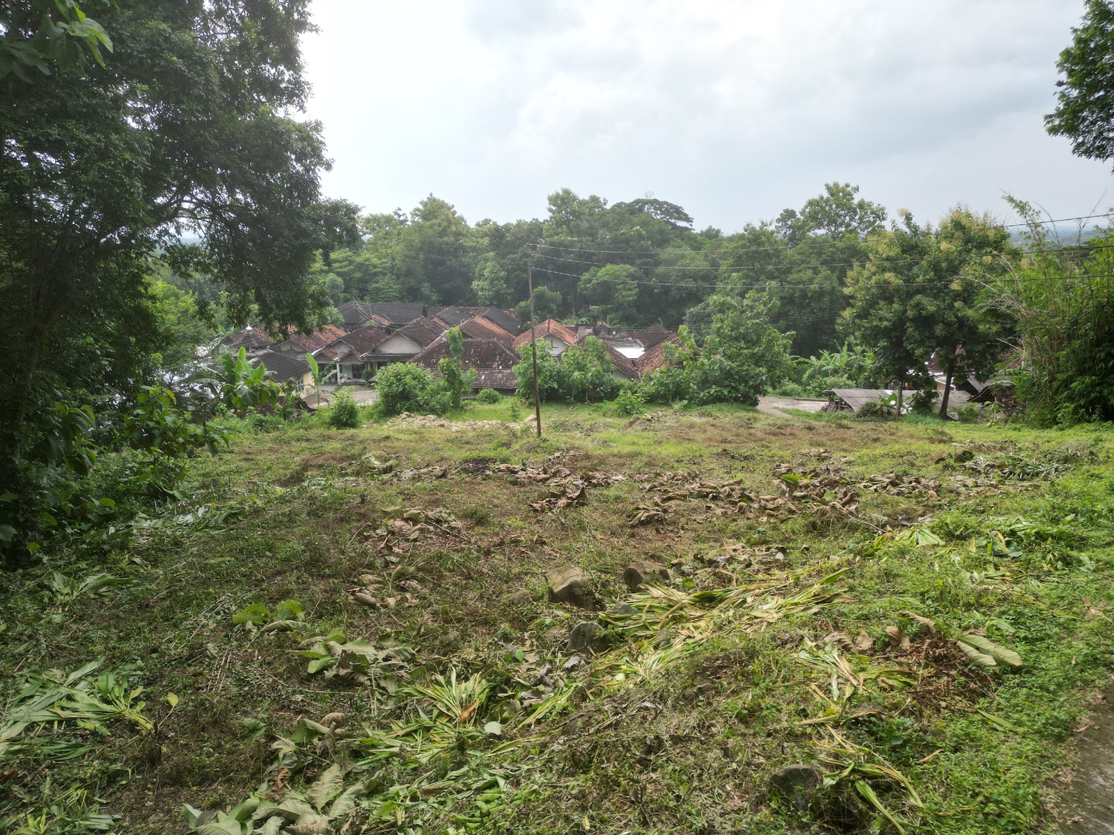 Tanah Pereng Prambanan tersedia Luasan 300m2-SHM - Property listing thumbnail