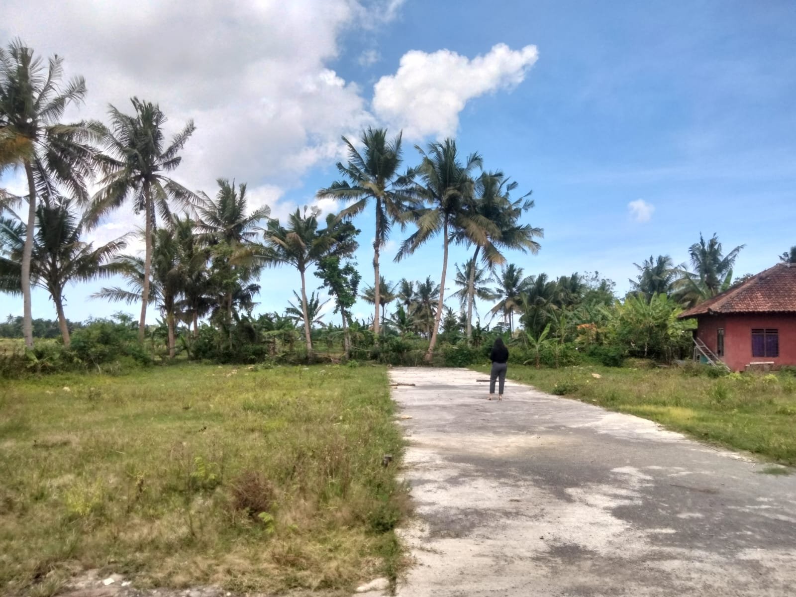 Tanah Jogja Tawangsari Pengasih Cocok Untuk Rumah Dekat UNY Wates - Image 9