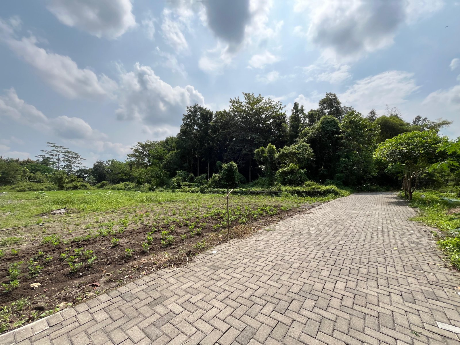 Belakang UII Cocok Kos Ekslusif di Kaliurang km 14 - Image 6