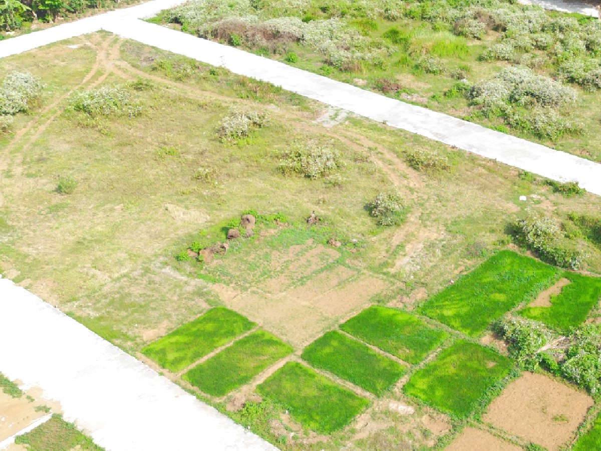 Gaya Arsitektur Japandi Rumah Strategis Jogja di Temon Kulon Progo - Image 6