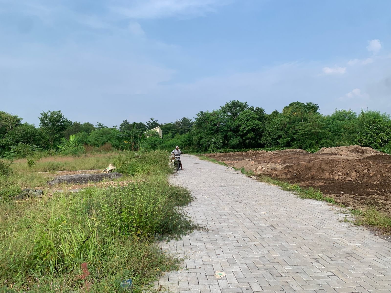 Arsitektur Tropis Type 110, Barat Tugu Jogja - Image 6