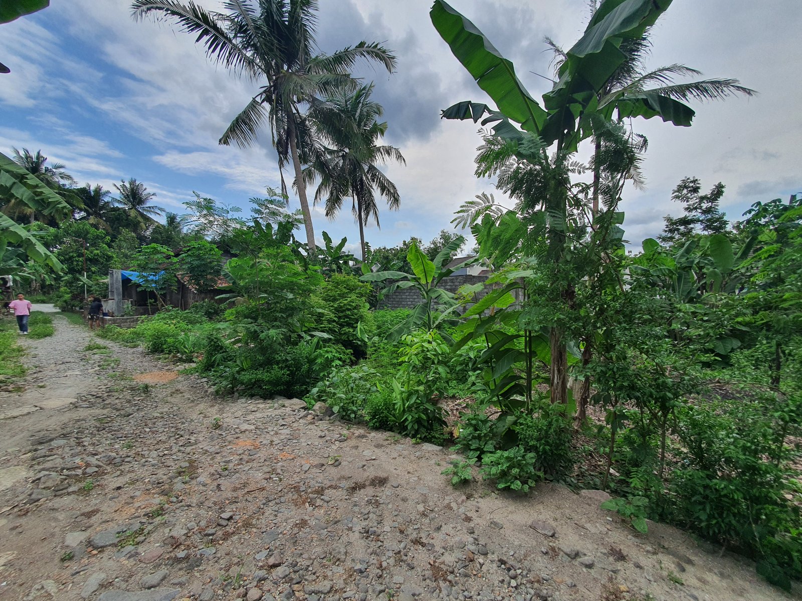 Tanah Murah Balecatur Sedayu dijual cepat 200 jtan - Image 2