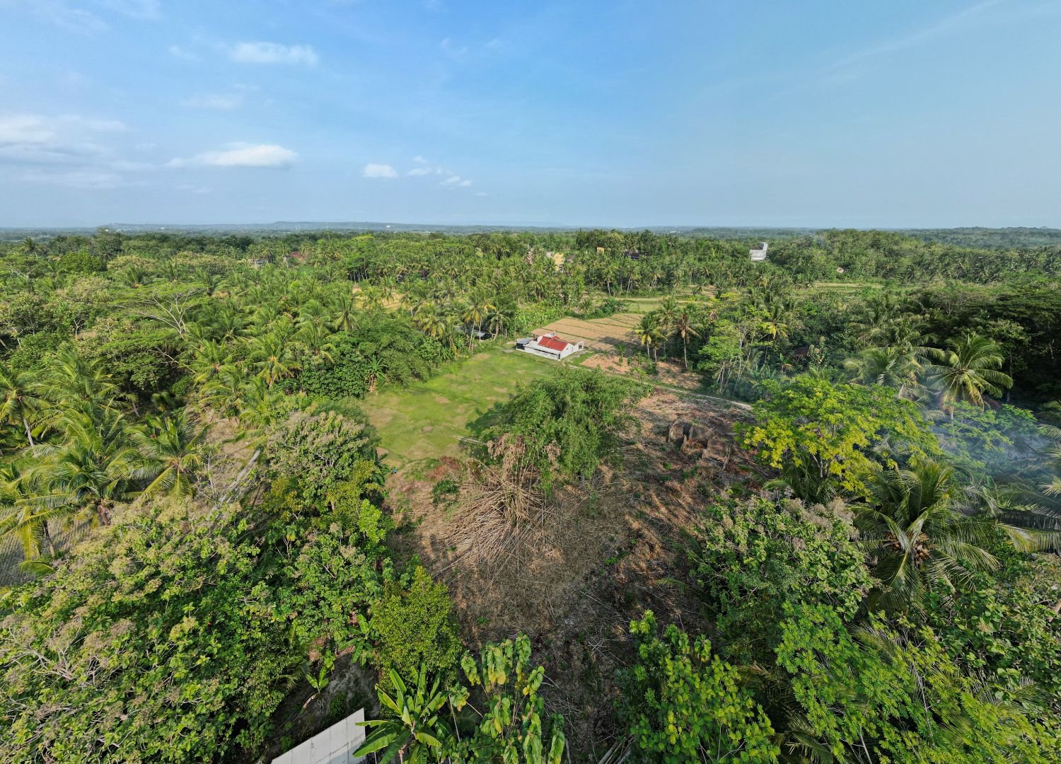 2KM RS Nanggulan, Dijual Tanah Kulonprogo: SHM - Image 3