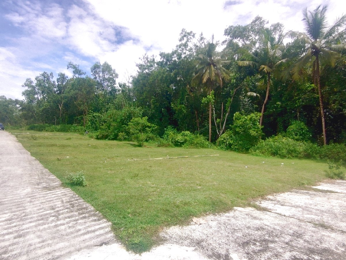 Dekat SMK N 1 Panjatan Rumah Strategis Jogja SHM Pekarangan - Image 6